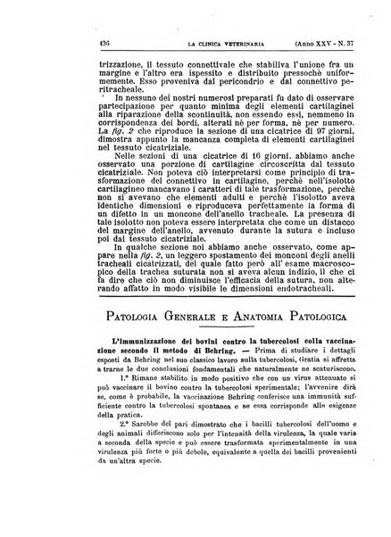 La clinica veterinaria rivista di medicina e chirurgia pratica degli animali domestici