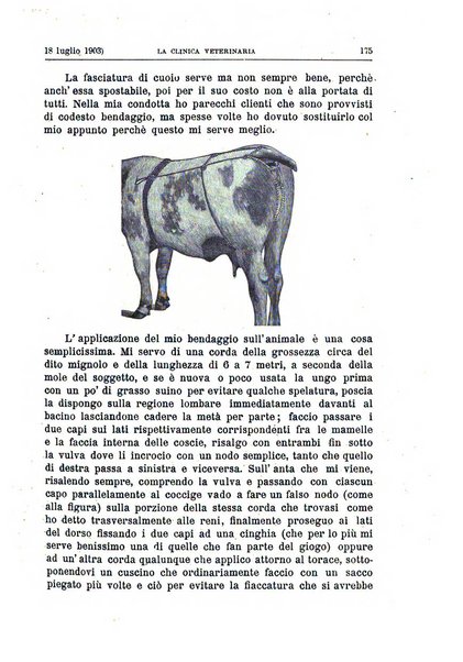 La clinica veterinaria rivista di medicina e chirurgia pratica degli animali domestici