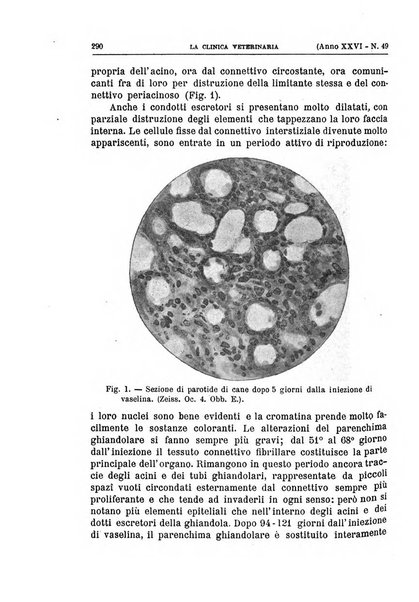 La clinica veterinaria rivista di medicina e chirurgia pratica degli animali domestici