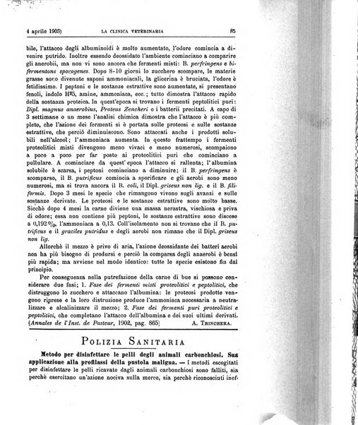 La clinica veterinaria rivista di medicina e chirurgia pratica degli animali domestici