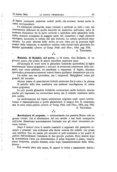 La clinica veterinaria rivista di medicina e chirurgia pratica degli animali domestici