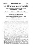 giornale/MIL0124118/1904/unico/00000415