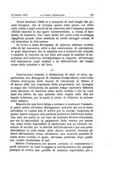 La clinica veterinaria rivista di medicina e chirurgia pratica degli animali domestici