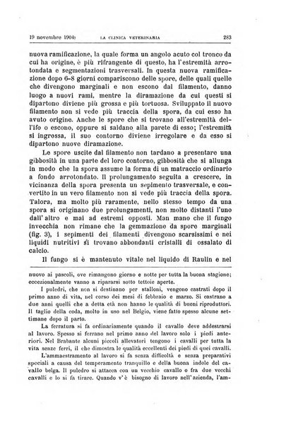 La clinica veterinaria rivista di medicina e chirurgia pratica degli animali domestici