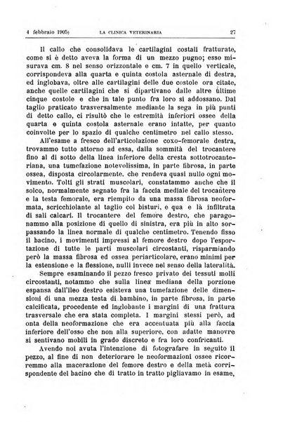 La clinica veterinaria rivista di medicina e chirurgia pratica degli animali domestici