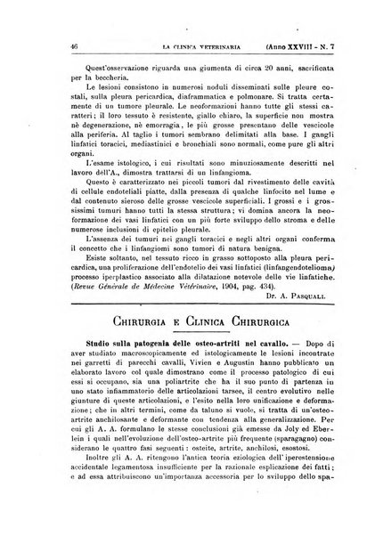 La clinica veterinaria rivista di medicina e chirurgia pratica degli animali domestici