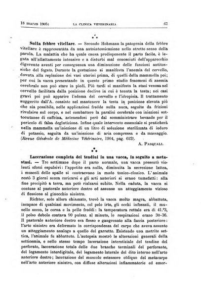 La clinica veterinaria rivista di medicina e chirurgia pratica degli animali domestici