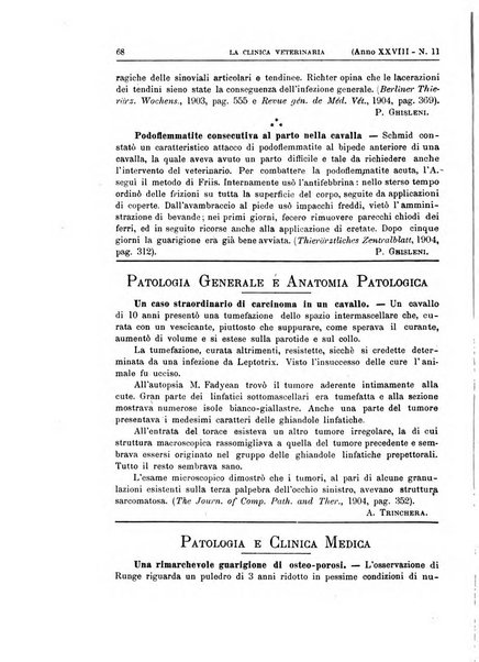 La clinica veterinaria rivista di medicina e chirurgia pratica degli animali domestici