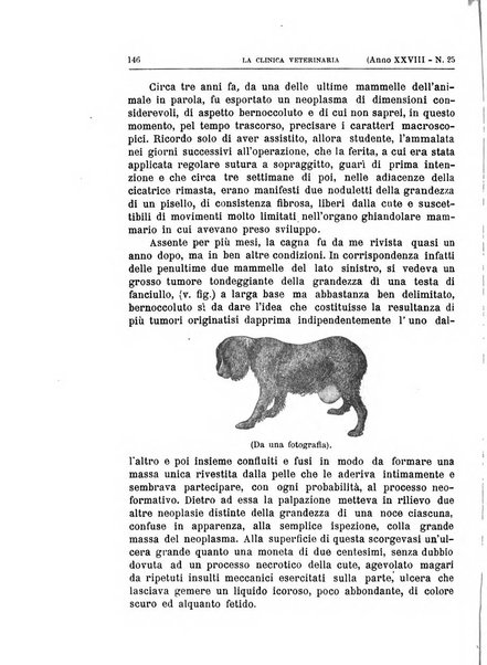 La clinica veterinaria rivista di medicina e chirurgia pratica degli animali domestici