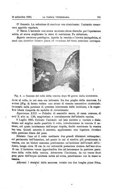 La clinica veterinaria rivista di medicina e chirurgia pratica degli animali domestici