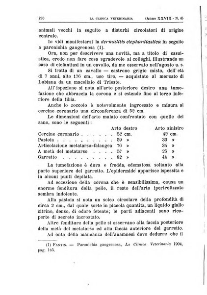 La clinica veterinaria rivista di medicina e chirurgia pratica degli animali domestici