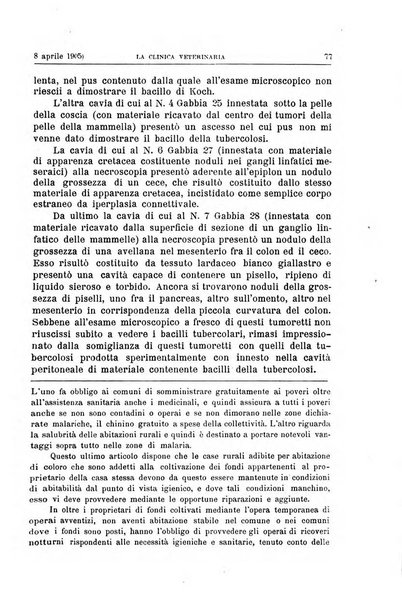 La clinica veterinaria rivista di medicina e chirurgia pratica degli animali domestici