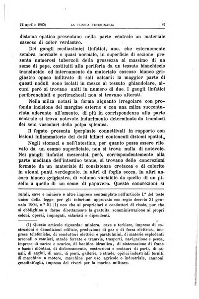 La clinica veterinaria rivista di medicina e chirurgia pratica degli animali domestici