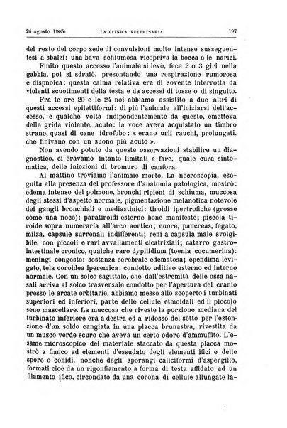 La clinica veterinaria rivista di medicina e chirurgia pratica degli animali domestici