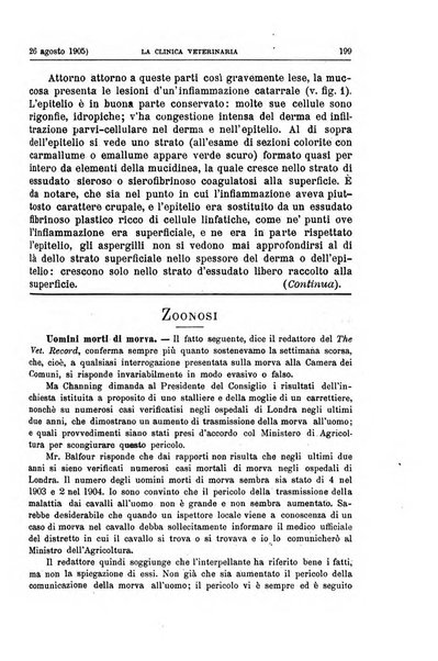 La clinica veterinaria rivista di medicina e chirurgia pratica degli animali domestici