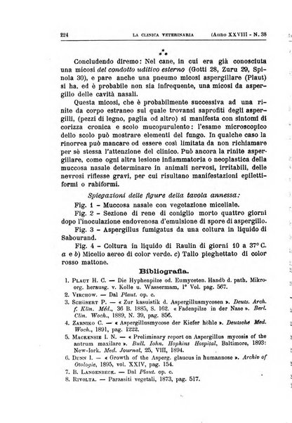 La clinica veterinaria rivista di medicina e chirurgia pratica degli animali domestici