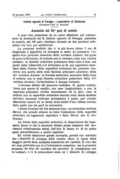 La clinica veterinaria rivista di medicina e chirurgia pratica degli animali domestici