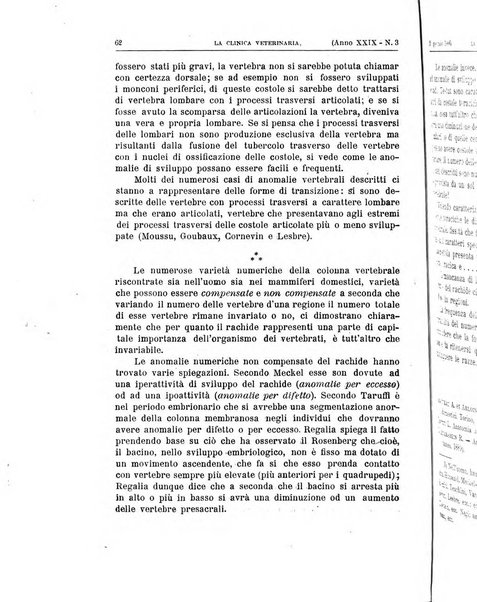 La clinica veterinaria rivista di medicina e chirurgia pratica degli animali domestici