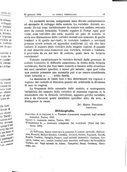 La clinica veterinaria rivista di medicina e chirurgia pratica degli animali domestici