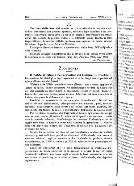 La clinica veterinaria rivista di medicina e chirurgia pratica degli animali domestici