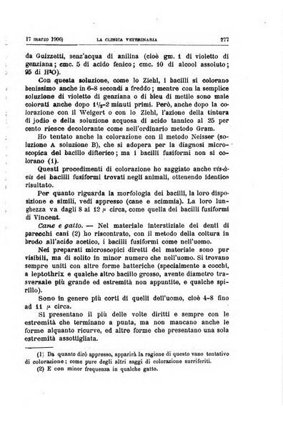 La clinica veterinaria rivista di medicina e chirurgia pratica degli animali domestici