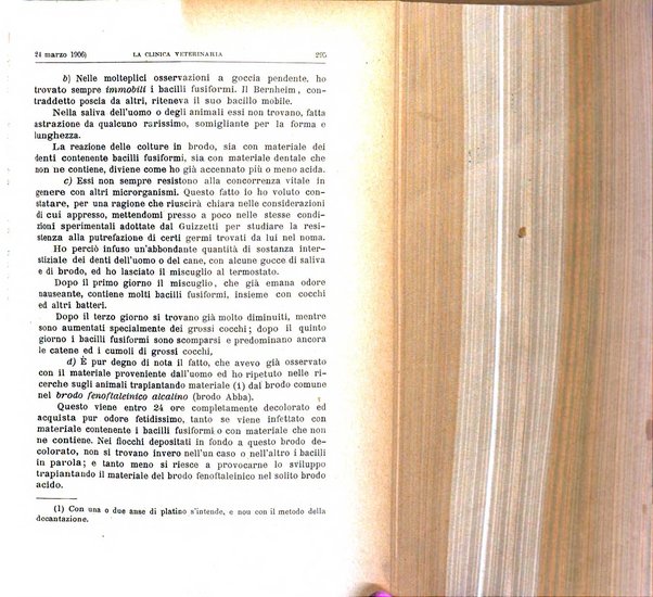 La clinica veterinaria rivista di medicina e chirurgia pratica degli animali domestici