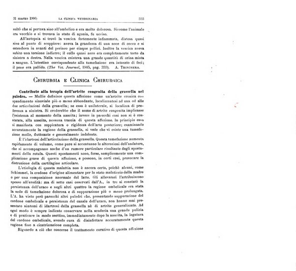 La clinica veterinaria rivista di medicina e chirurgia pratica degli animali domestici