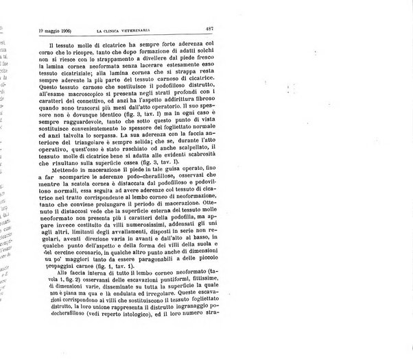 La clinica veterinaria rivista di medicina e chirurgia pratica degli animali domestici