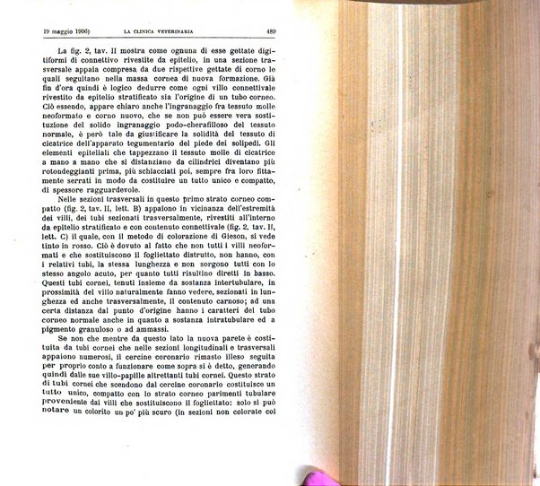 La clinica veterinaria rivista di medicina e chirurgia pratica degli animali domestici