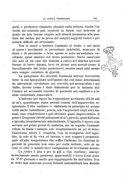 La clinica veterinaria rivista di medicina e chirurgia pratica degli animali domestici