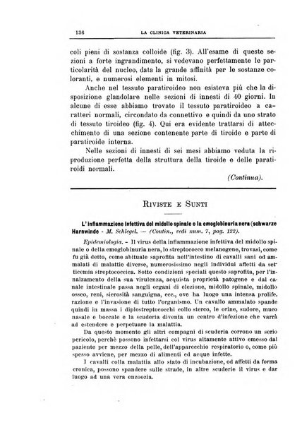 La clinica veterinaria rivista di medicina e chirurgia pratica degli animali domestici