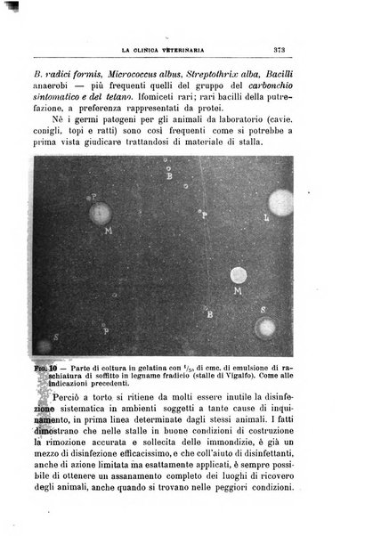 La clinica veterinaria rivista di medicina e chirurgia pratica degli animali domestici