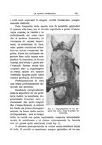 giornale/MIL0124118/1908/V.31.1/00000745