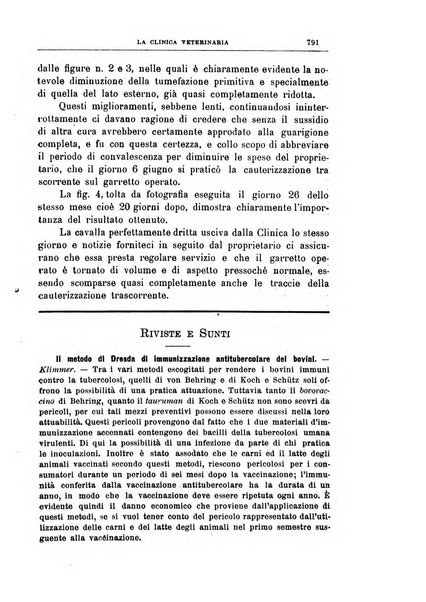 La clinica veterinaria rivista di medicina e chirurgia pratica degli animali domestici