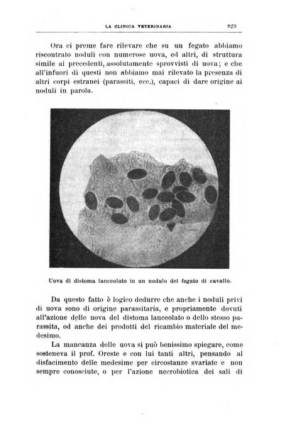 La clinica veterinaria rivista di medicina e chirurgia pratica degli animali domestici