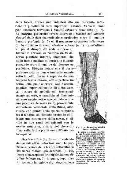 La clinica veterinaria rivista di medicina e chirurgia pratica degli animali domestici