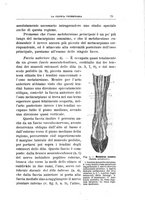 giornale/MIL0124118/1908/V.31.2/00000101