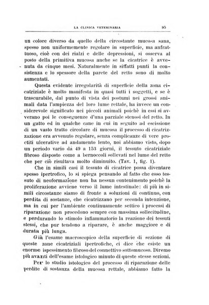 La clinica veterinaria rivista di medicina e chirurgia pratica degli animali domestici