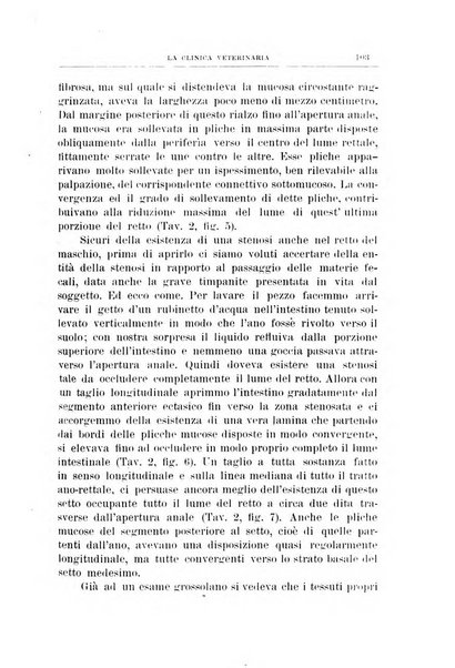 La clinica veterinaria rivista di medicina e chirurgia pratica degli animali domestici