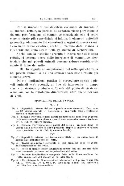 La clinica veterinaria rivista di medicina e chirurgia pratica degli animali domestici