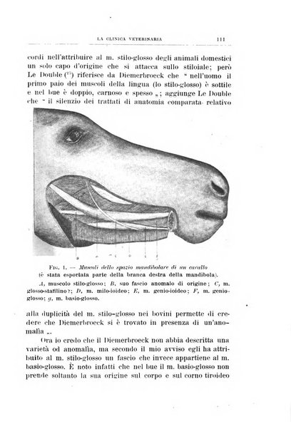 La clinica veterinaria rivista di medicina e chirurgia pratica degli animali domestici