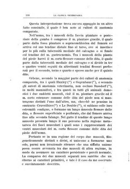 La clinica veterinaria rivista di medicina e chirurgia pratica degli animali domestici