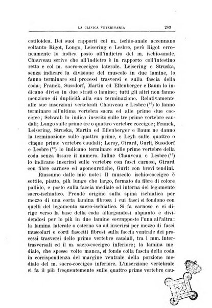 La clinica veterinaria rivista di medicina e chirurgia pratica degli animali domestici