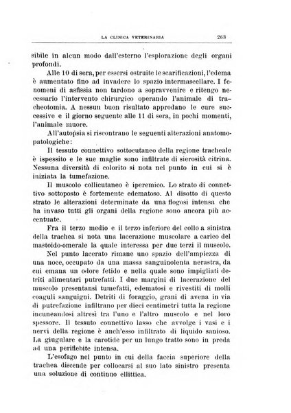 La clinica veterinaria rivista di medicina e chirurgia pratica degli animali domestici