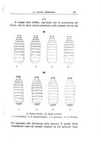 giornale/MIL0124118/1909/V.32.1/00000297