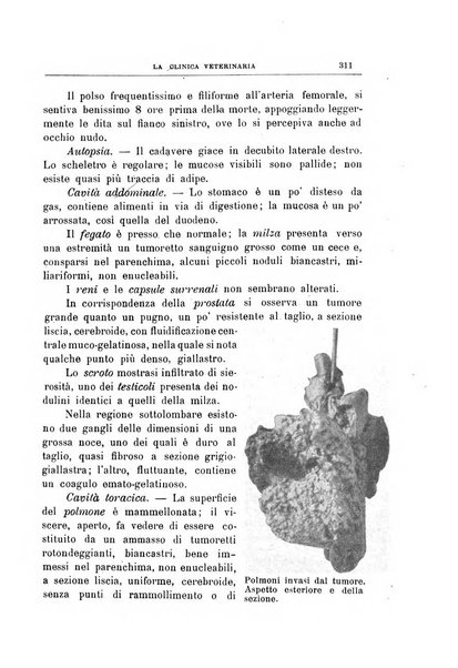 La clinica veterinaria rivista di medicina e chirurgia pratica degli animali domestici