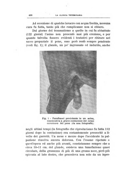 La clinica veterinaria rivista di medicina e chirurgia pratica degli animali domestici