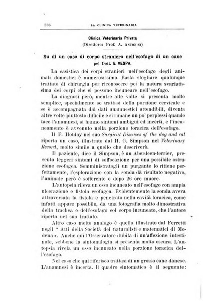 La clinica veterinaria rivista di medicina e chirurgia pratica degli animali domestici