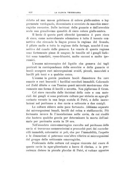 La clinica veterinaria rivista di medicina e chirurgia pratica degli animali domestici