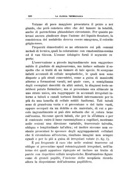 La clinica veterinaria rivista di medicina e chirurgia pratica degli animali domestici